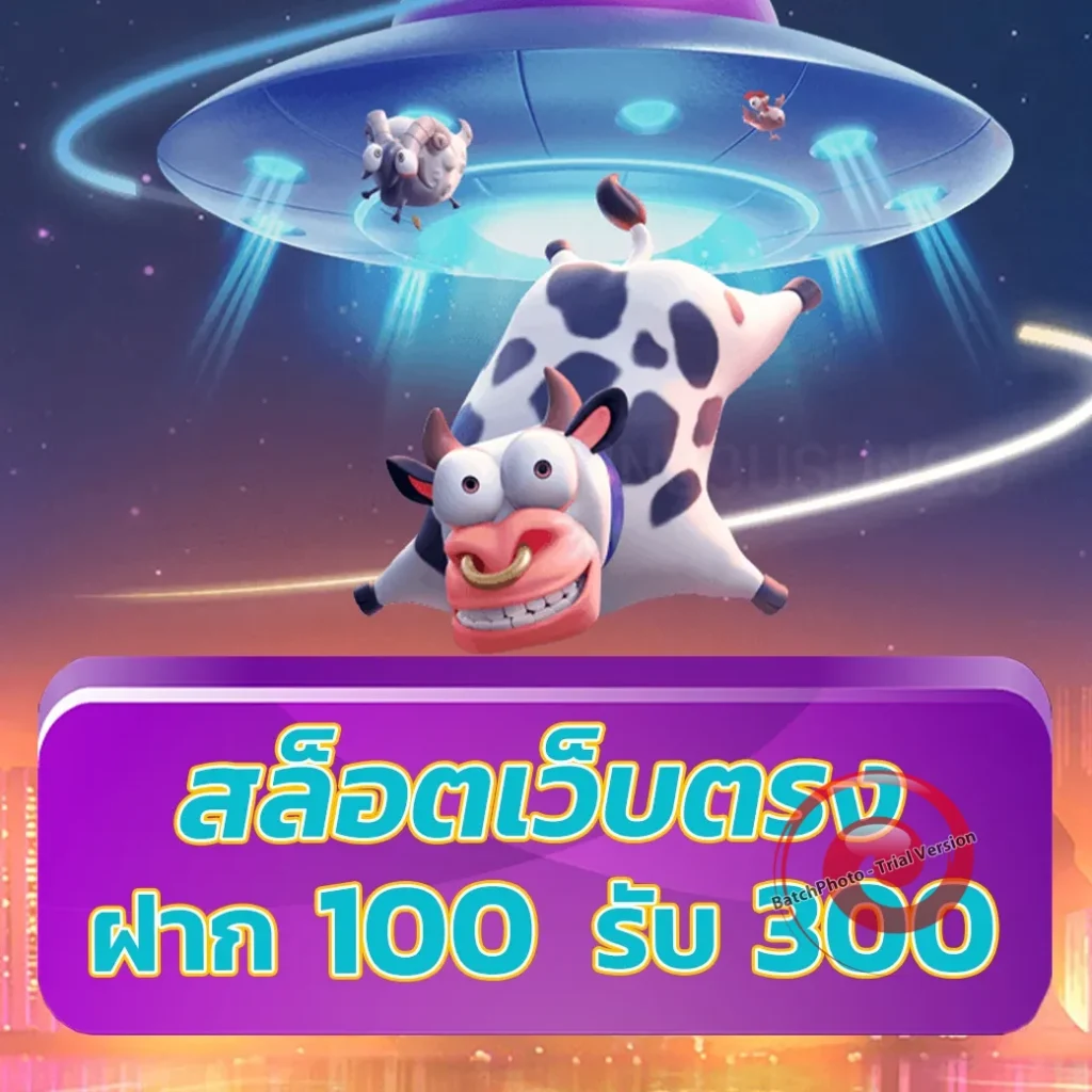 zizi 689 thai